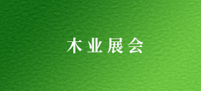 2024 年第十三屆烏茲別克斯坦國際建筑建材展